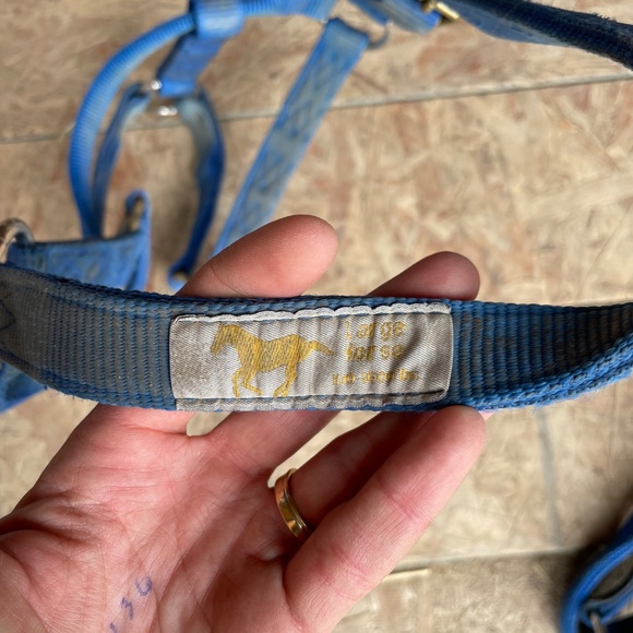 Hamilton Blue Horse Halter - Picture 2 of 2